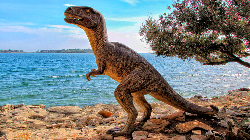 PŠto vidjeti i raditi